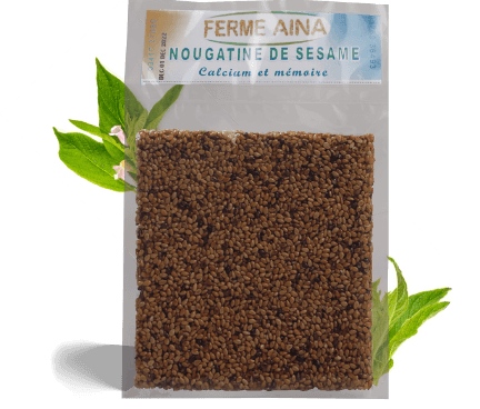 Nougatine de sésame nature